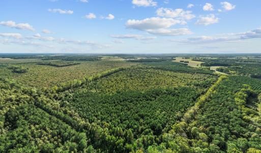 9-web-or-mls-DJI_0708