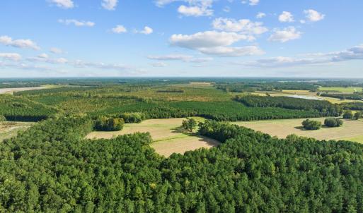 12-web-or-mls-DJI_0711