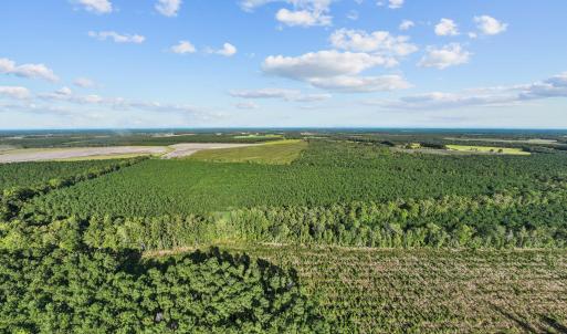 17-web-or-mls-DJI_0718