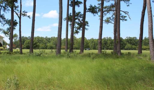 Grassy Area in back