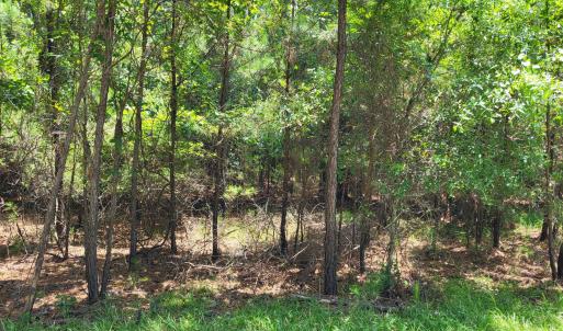 Timber & Terrain Appeal