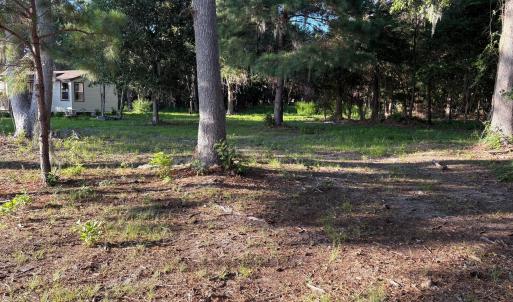 495 P V Dr yard 7 view of cabin from cor