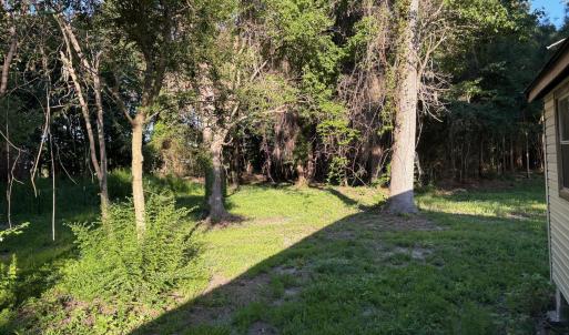 495 P V Dr yard 8 back of lot from back