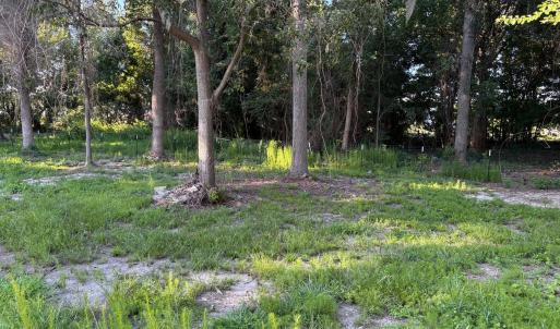 495 P V Dr more yard in back