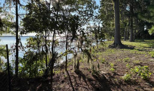 495 P V Dr yard 6 Looking into river