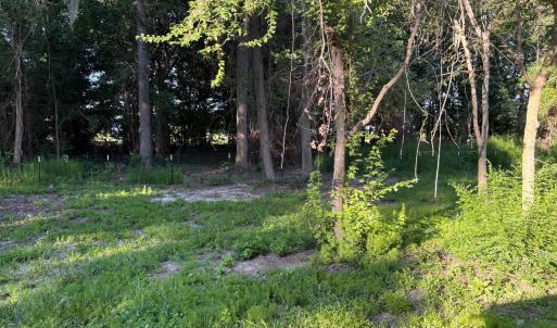 495 P V Dr moe back yard