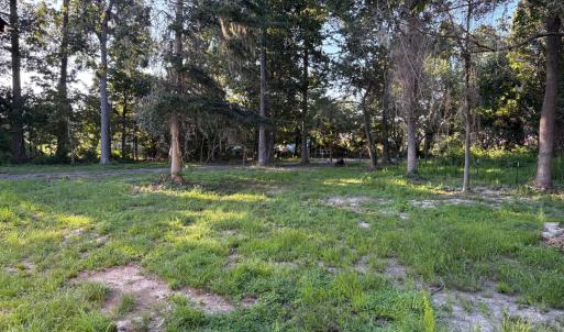 495 P V Dr yard 3 again looking at gate