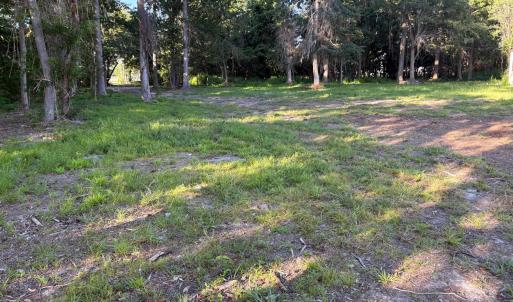 495 P V Dr yard 4 from river back toward