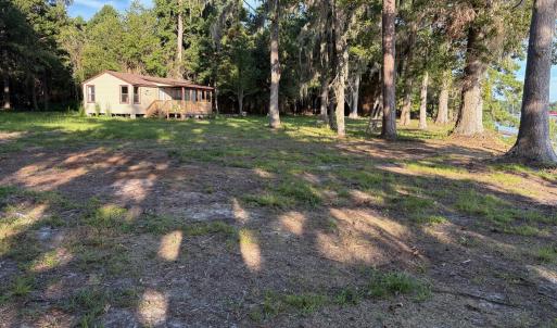 495 P V Dr yard 5 looking toward the old