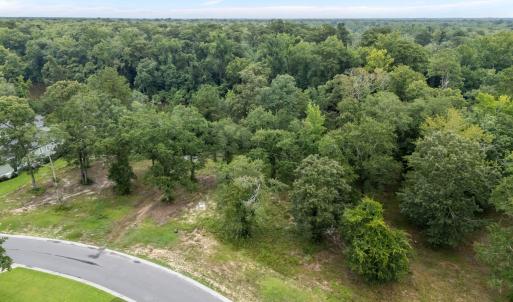 20-web-or-mls-DJI_20250731124514_0889_D