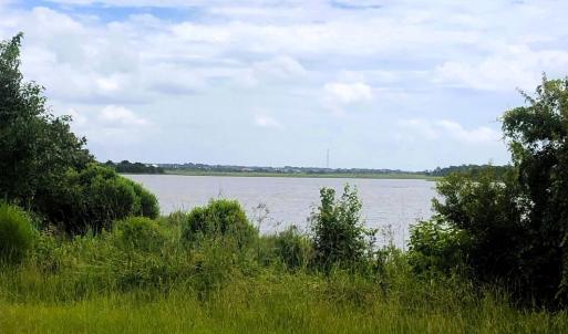 Ned Ln view