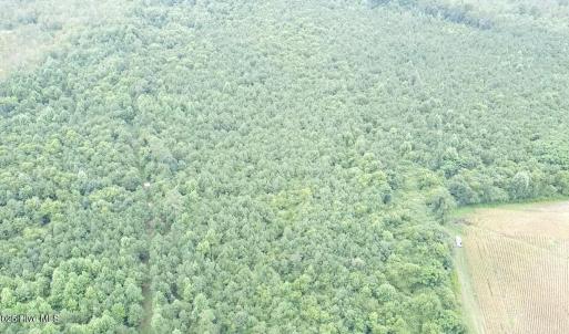 2025-08-05-11-21-21-692 (2)