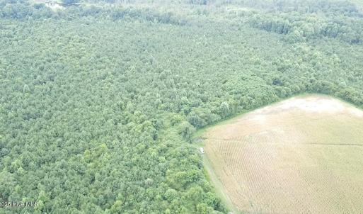 2025-08-05-11-20-42-836