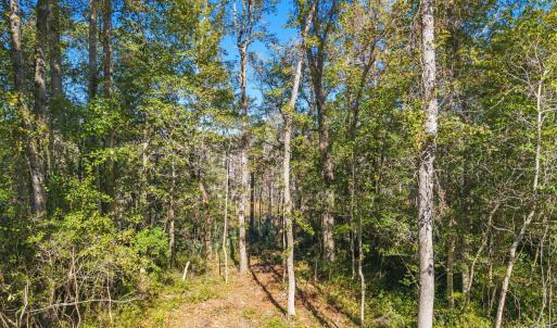 5-web-or-mls-CamMediaLLC.com (5 of 17)