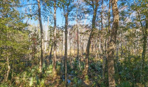 6-web-or-mls-CamMediaLLC.com (6 of 17)