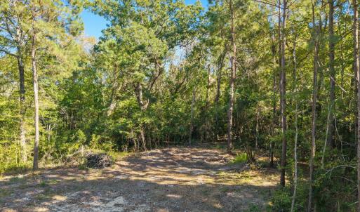 7-web-or-mls-CamMediaLLC.com (7 of 17)