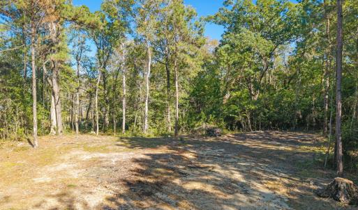 8-web-or-mls-CamMediaLLC.com (8 of 17)