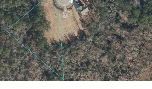 164 Evergreen Forest-1