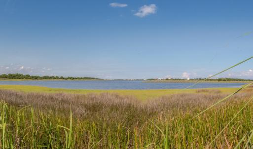 DSC_2243-Pano