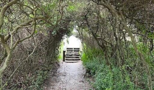 109 beach access 2