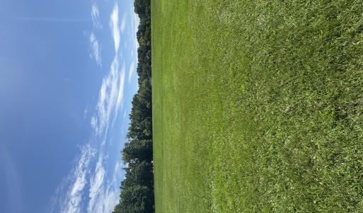 Cleared and ready to build