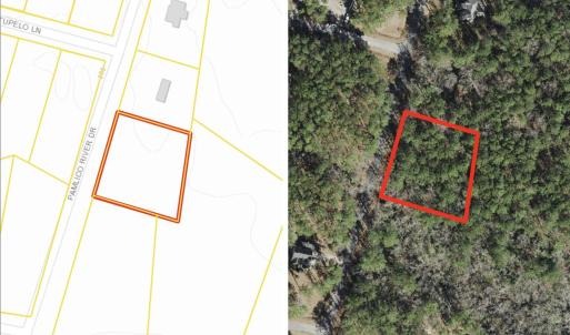 Image 8-8-25 at 2.47PM 2