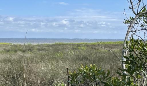 IMG_4438 Large