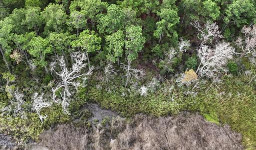 DJI_20250805092732_0330_D