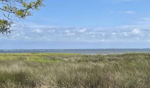 IMG_4434 Large