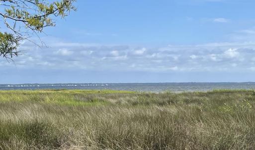 IMG_4434 Large