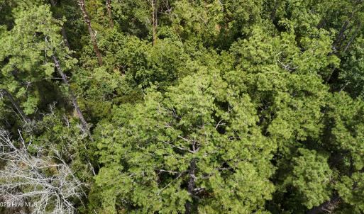 DJI_20250805132549_0360_D