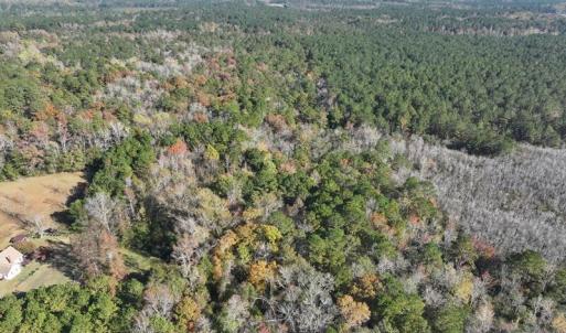 DJI_20231108140830_0074_D