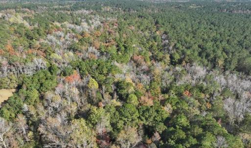 DJI_20231108140757_0065_D