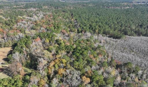 DJI_20231108140825_0071_D