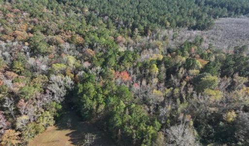 DJI_20231108140928_0080_D