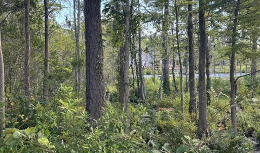 20240703131704627595000000-o