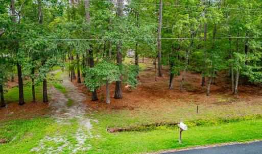 Front Yard View