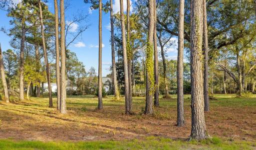 9-web-or-mls-_S3A0461