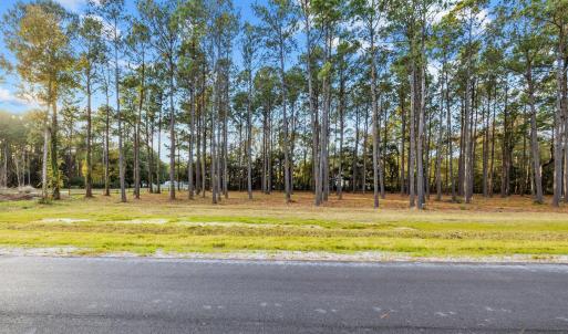 7-web-or-mls-_S3A0452