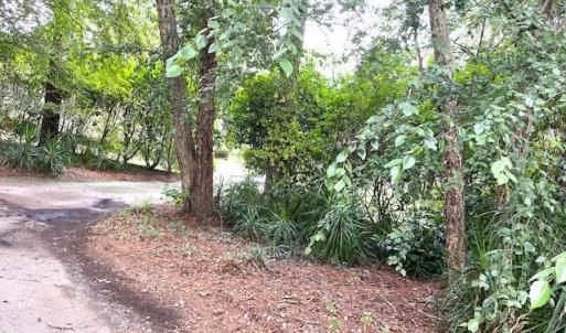BARRINGTON WOODS 19