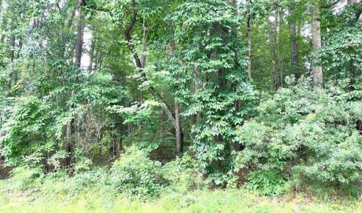 BARRINGTON WOODS 16