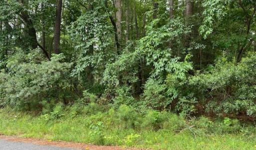 BARRINGTON WOODS 13