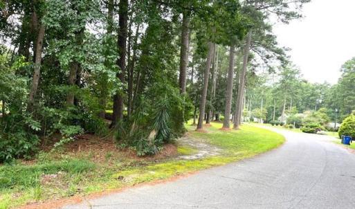 BARRINGTON WOODS 15