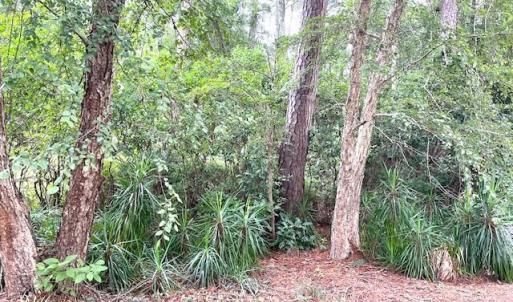 BARRINGTON WOODS 17