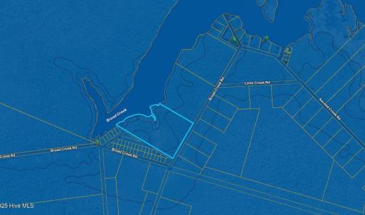 Wetland Flood Zone Pic