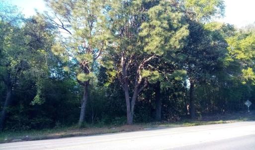 Hwy 74E - Pic 2