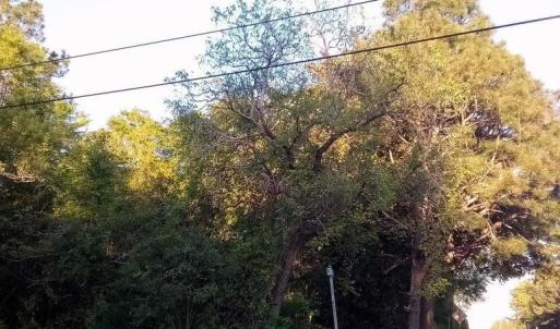 Hwy 74E - Pic 4