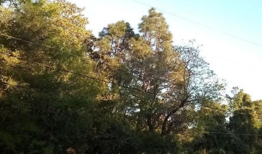 Hwy 74E - Pic 5