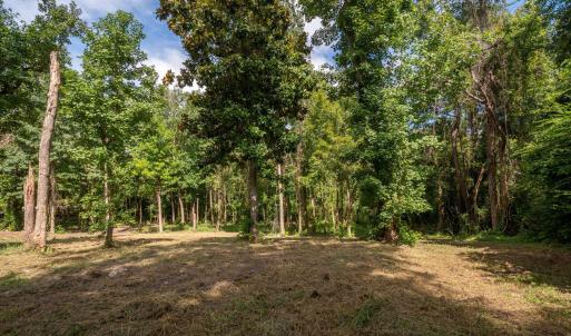6-web-or-mls-Winding Creek Rd Lots 1 & 2