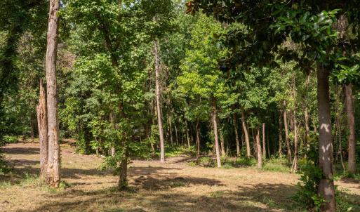 9-web-or-mls-Winding Creek Rd Lots 1 & 2